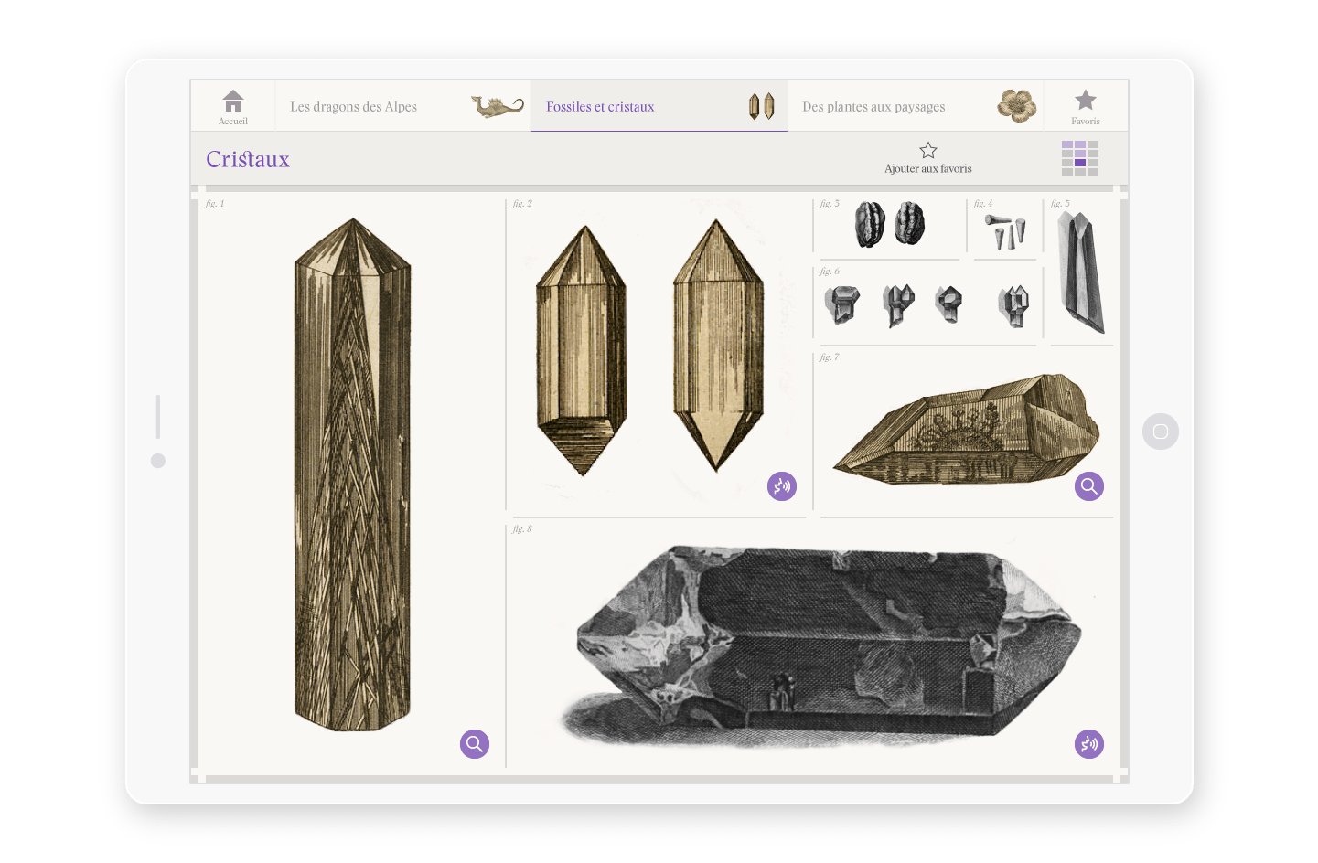 A tablet showing the crystals page